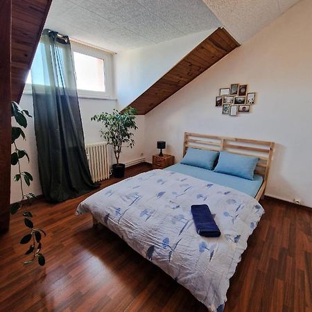 سا لووي Nice Room 4 Minutes From Basel Shared Apartment المظهر الخارجي الصورة