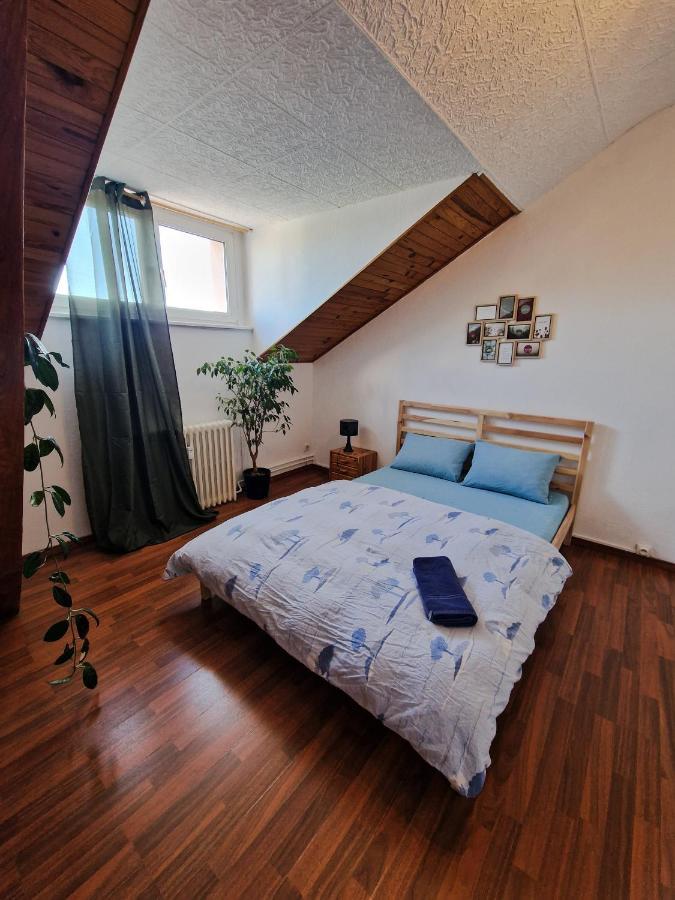 سا لووي Nice Room 4 Minutes From Basel Shared Apartment المظهر الخارجي الصورة