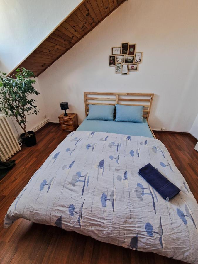 سا لووي Nice Room 4 Minutes From Basel Shared Apartment المظهر الخارجي الصورة
