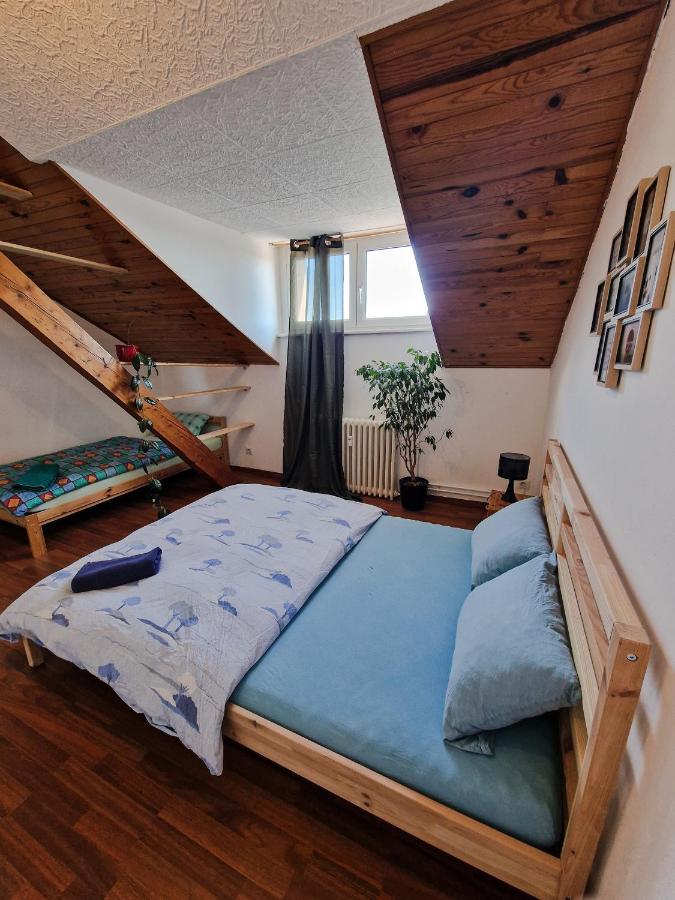 سا لووي Nice Room 4 Minutes From Basel Shared Apartment المظهر الخارجي الصورة